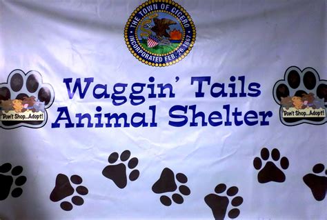 Clear the Shelters: Benbrook Waggin’ Tails .
